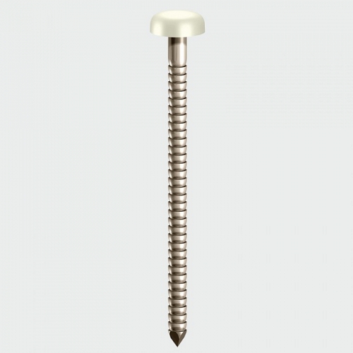 White 40mm Polymer Headed Pins (250)